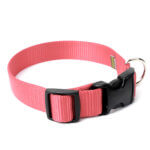 Strawberry Coral Pink Nylon Webbing Collar