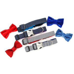 denim dog collar bow ties