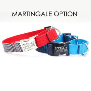 denim martingale option dog collars engraved