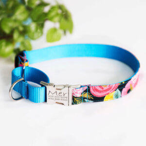floral martingale dog collar