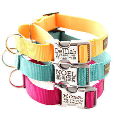 21 Unique Personalized Dog Collars 2021 Favorites List