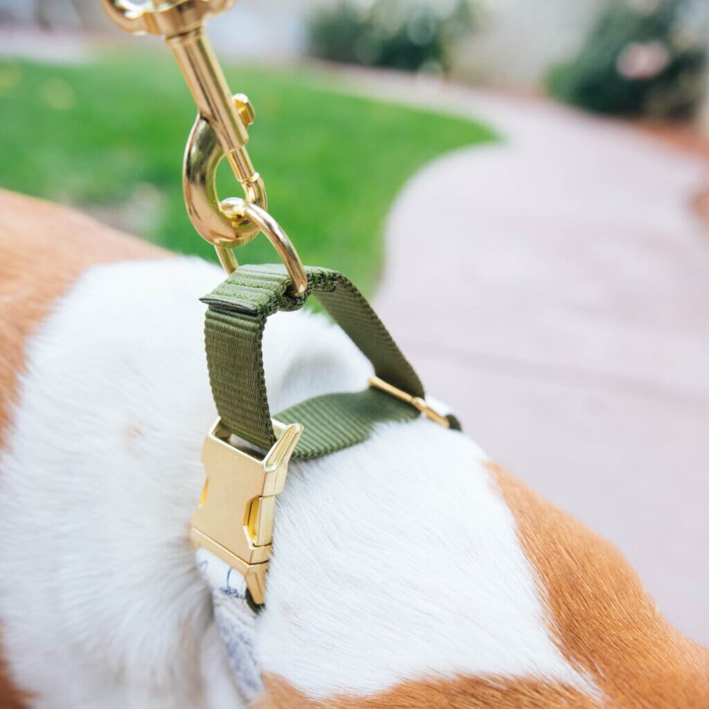 Martingale Canvas Close Up