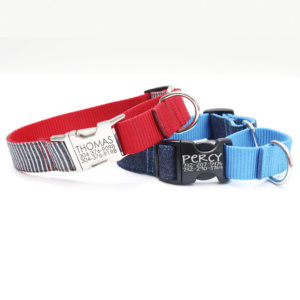 denim martingale dog collars engraved