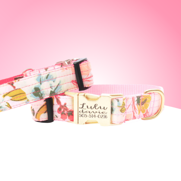 DD: Lulu Pink Floral Dog Collar
