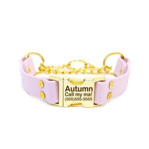 pastel purple quick release martingale (engraved)