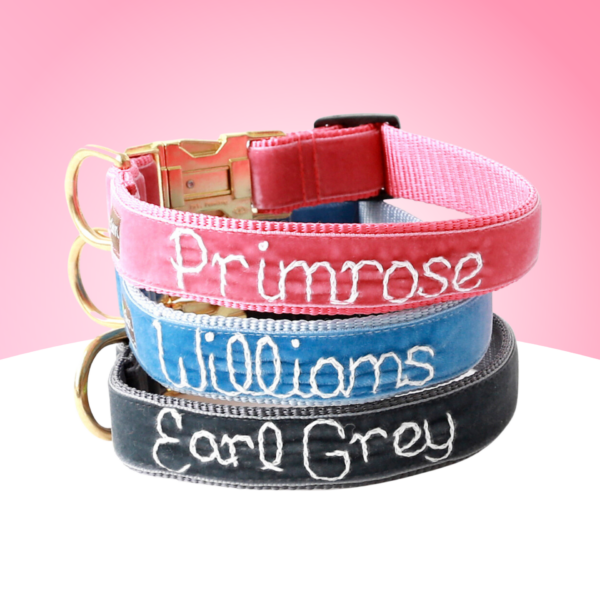 DD: Hand Embroidered Velvet Dog Collar