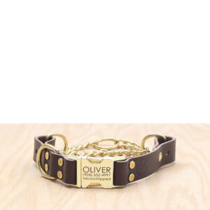 leather-quick-release-martingale-engraved-collar-dark brown
