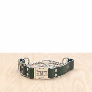 leather-quick-release-martingale-engraved-collar-green