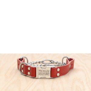 leather-quick-release-martingale-engraved-collar-red