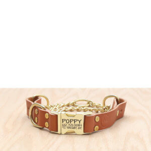leather-quick-release-martingale-engraved-collar-tan
