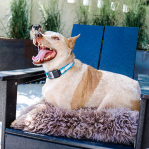 Fox reflective fi waterproof