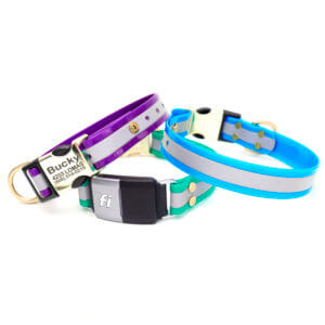 biothane reflective fi dog collar