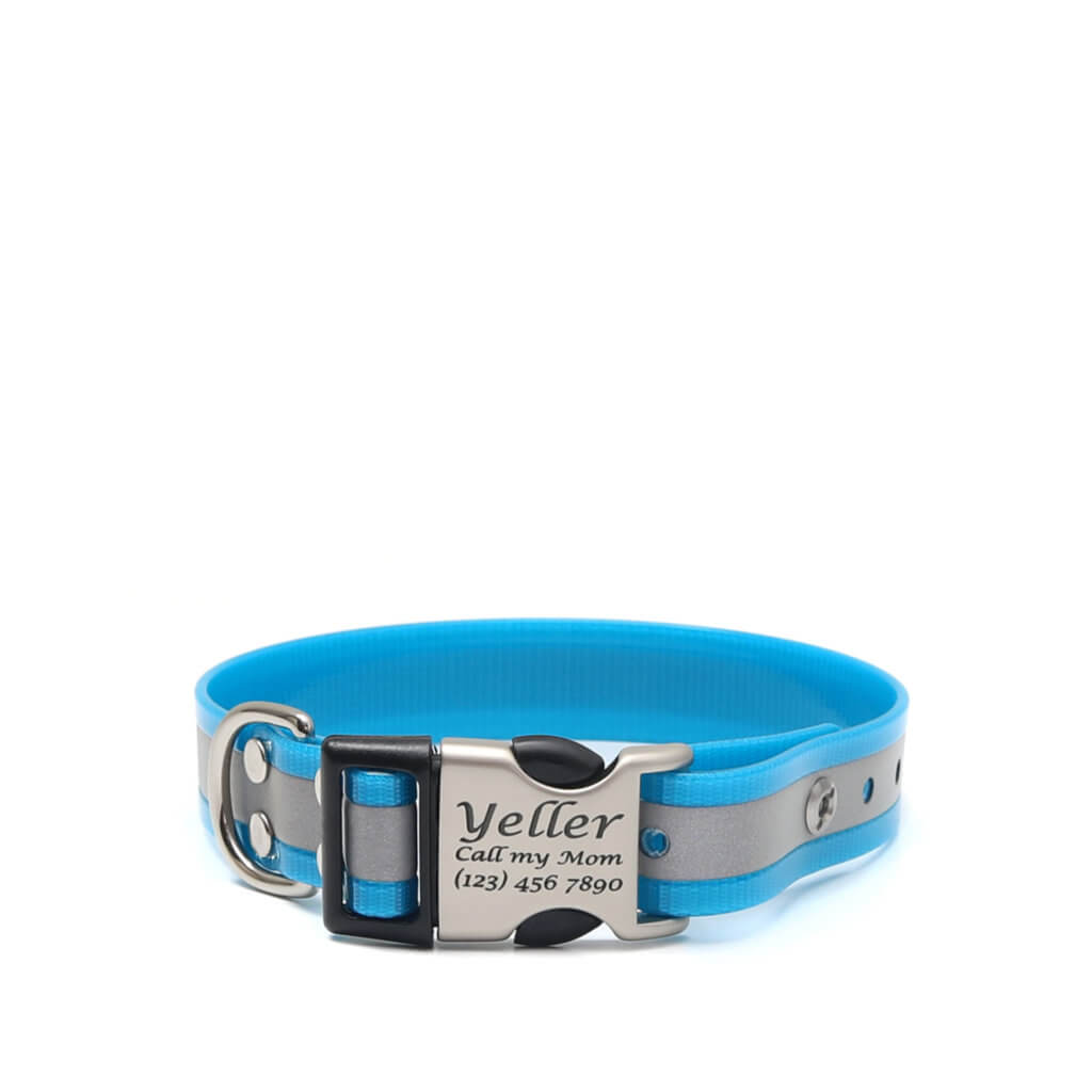 blue reflective biothane side release