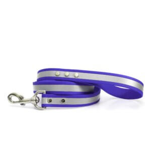 Matte Reflective Waterproof Leash - Cobalt Blue