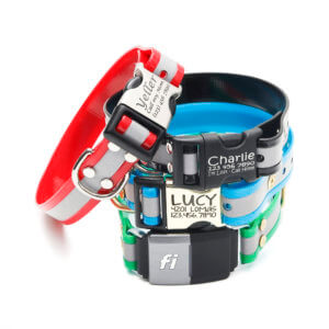 Lucy dog deals collars