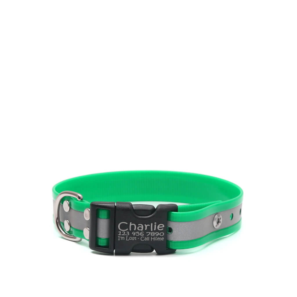 green reflective biothane side release