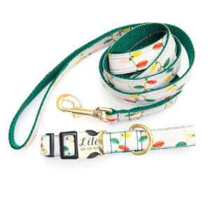 christmas tree lights dog collar