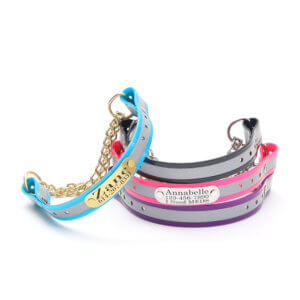 reflective biothane martingale stack