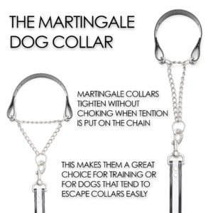 reflective martingale training chart