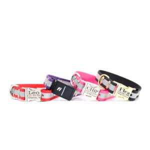 matte reflective fi quick release collars