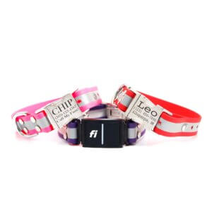 matte reflective fi quick release collars