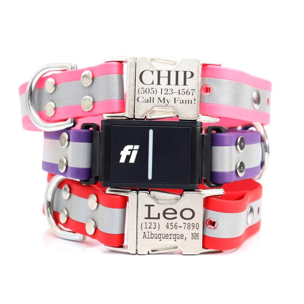 Fi Compatible Matte Reflective Waterproof Dog Collar w/ Engraved Buckle