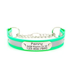 neon green matte reflective martingale
