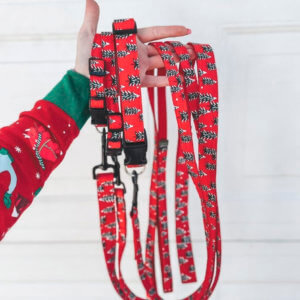 oh christmas tree dog collar