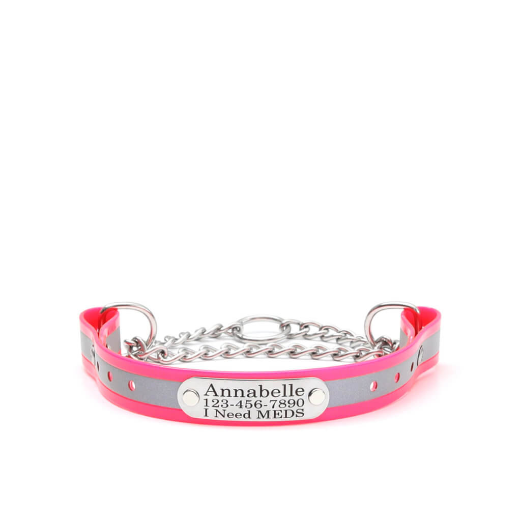 pink reflective biothane martingale