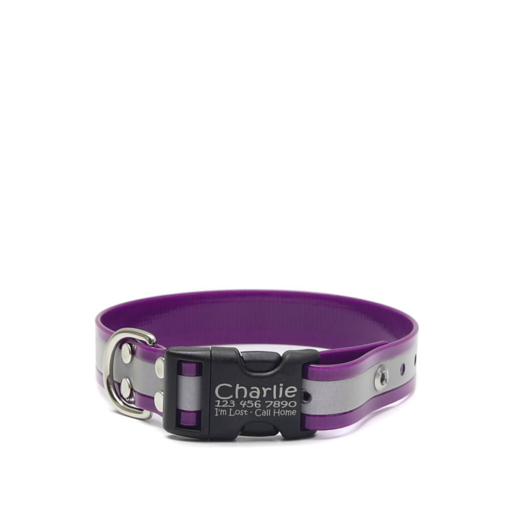 purple reflective biothane side release