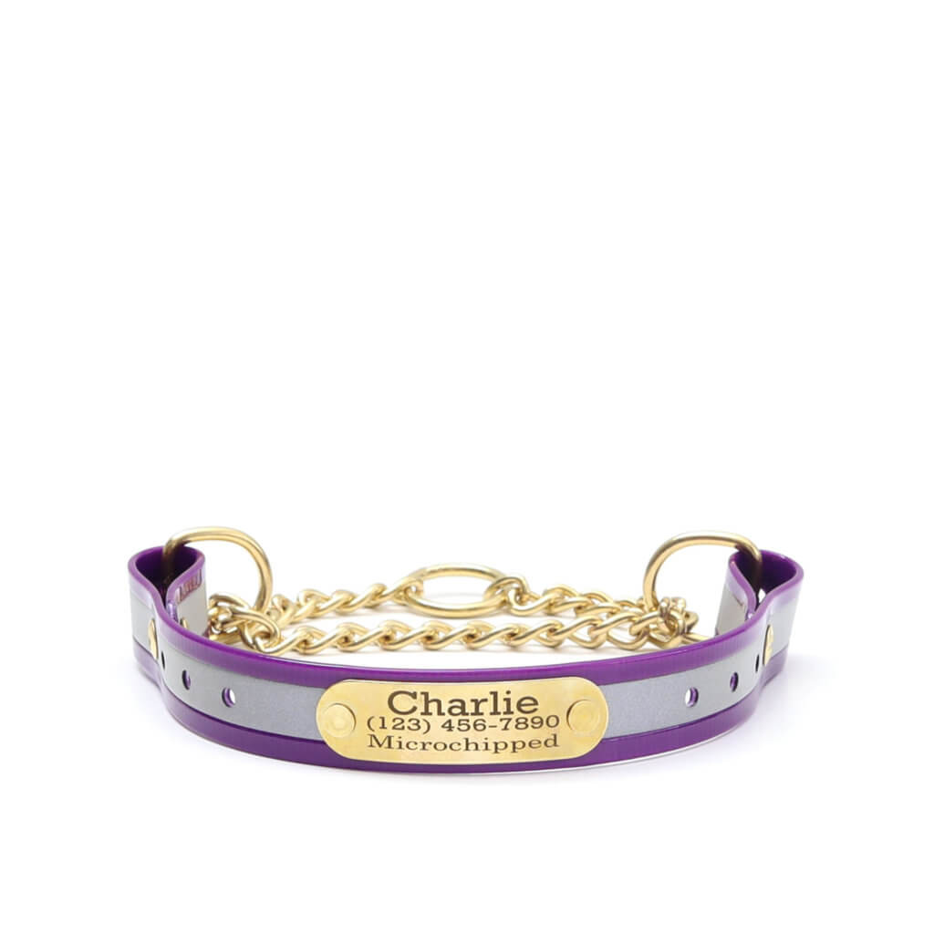 purple reflective biothane martingale
