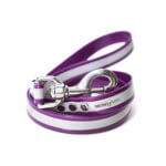 purple reflective biothane leash