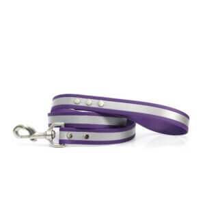 Matte Reflective Waterproof Leash - Purple