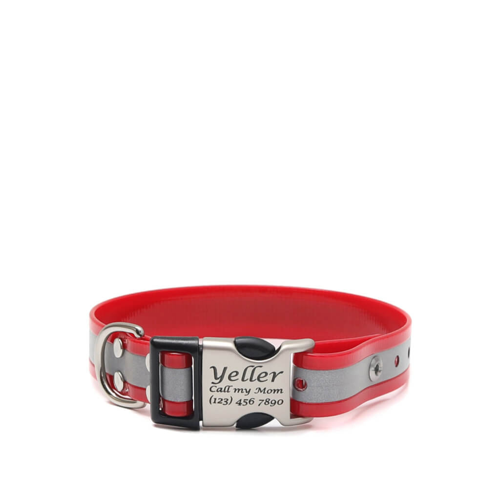 red reflective biothane side release