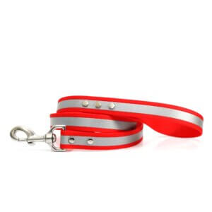red matte reflective leash