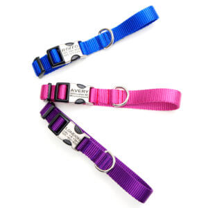 Engraved Nylon Dog Collar 3/4