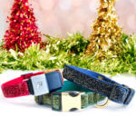 Fi Compatible Starlight Glitter Velvet Dog Collar with Optional Buckle Engraving