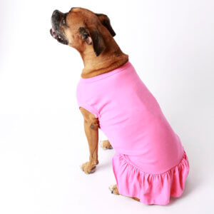 boxer dog dress pink