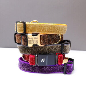 glitter starlight FI dog collar custom