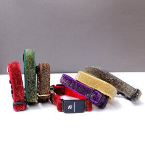 glitter starlight FI dog collar engraved