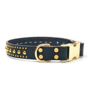 navy leather bart studded collar holiday brass