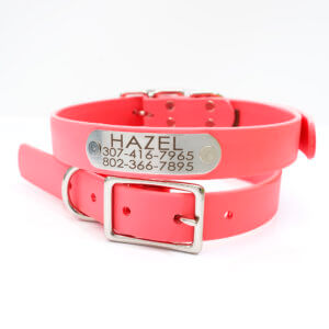strawberry coral biothane name plate collars personalized