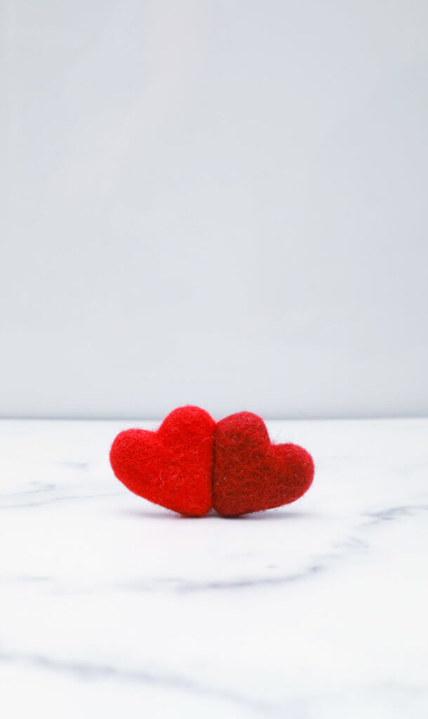 red dog collar heart