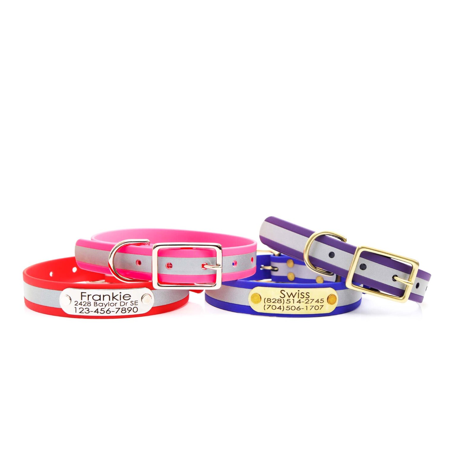 Waterproof Reflective Dog Collar with Riveted Nameplate