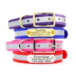 Waterproof Matte Reflective Dog Collar with Riveted Nameplate
