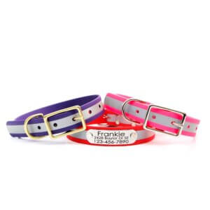 matte reflective belt buckle collars biothane