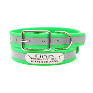 matte reflective nameplate belt buckle collars green