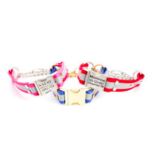 matte reflective quick release martingale group