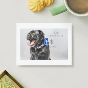 Alternative view of DD: Gift Certificate Sale