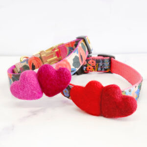 heart dog collar accessory valentines